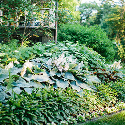 Image of garden outside of Black Point Estate